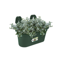 green basics easy hanger large blad groen